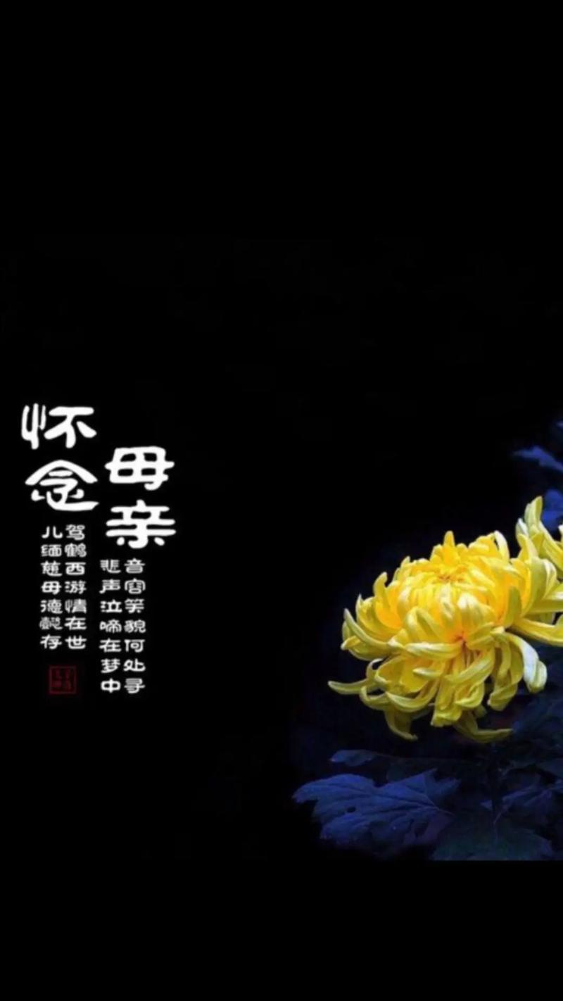 表达期待回家情感的象征花有哪些？归期的象征花是什么？