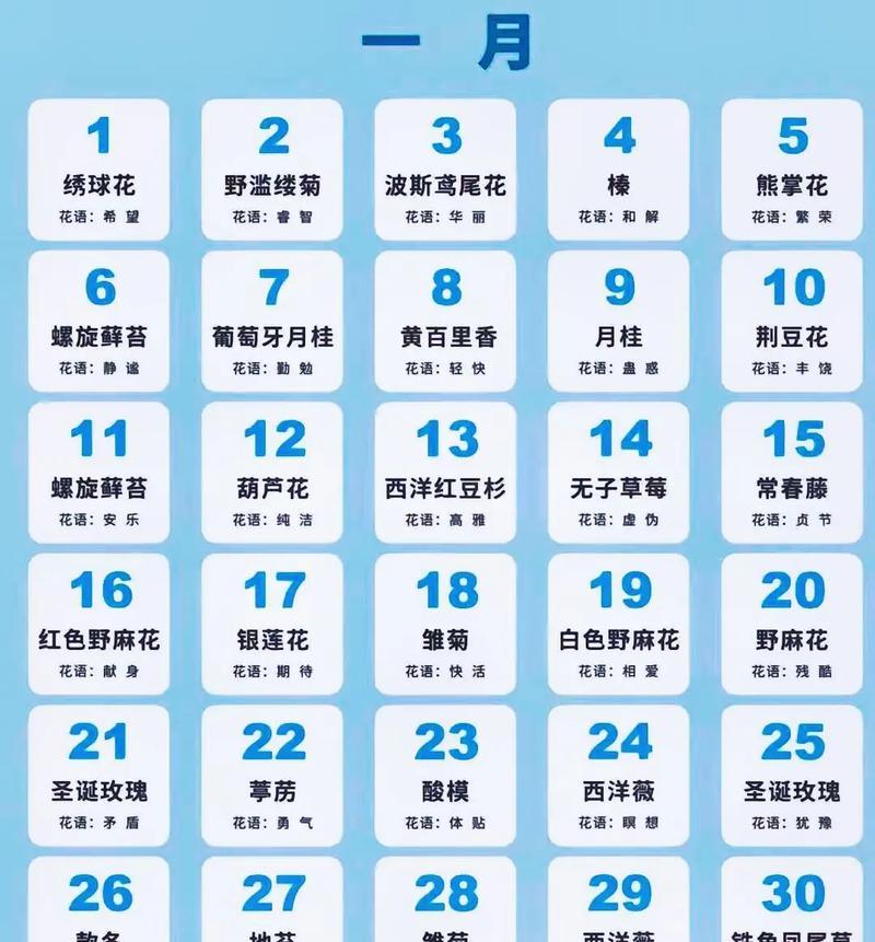 花语数量代表的寓意是什么？花语数量的含义是什么？