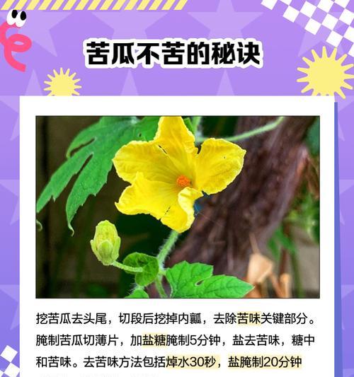苦瓜花的象征意义是什么？
