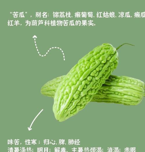 苦瓜花的象征意义是什么？