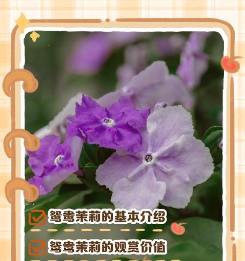 最邪恶花语的花是哪种？揭秘邪恶花语的花卉有哪些？