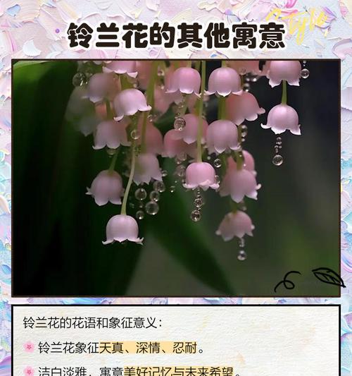 哪种花有恋人的花语？代表爱情的花是什么？