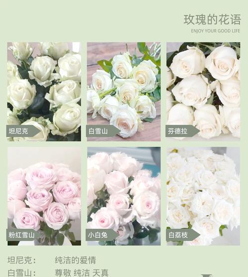 花的颜色与寓意有何关联？