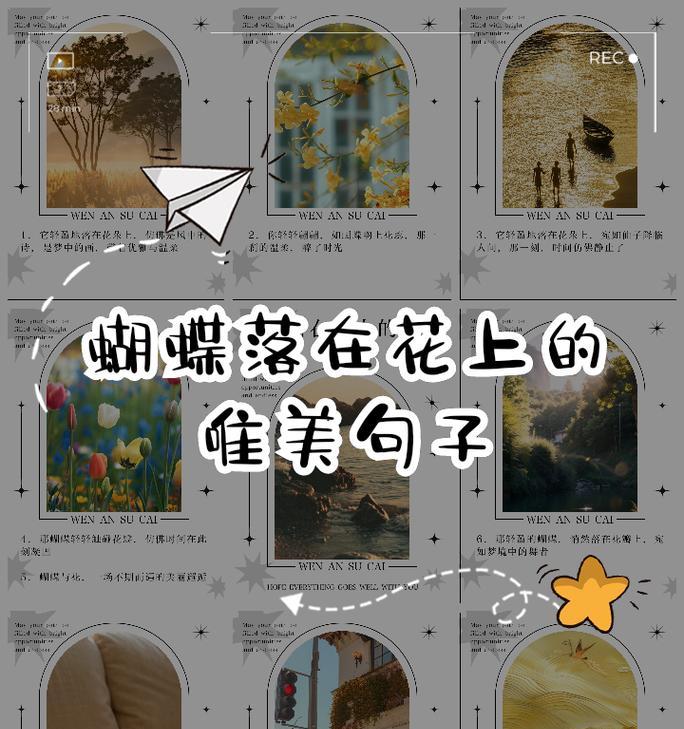 蝴蝶花作为礼物的含义是什么？送蝴蝶花代表什么？