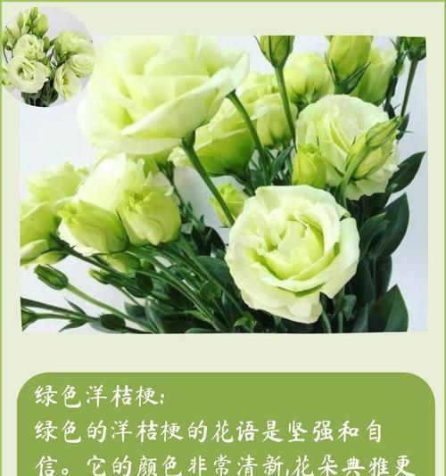 哪种花有特定含义？它的花语是什么？