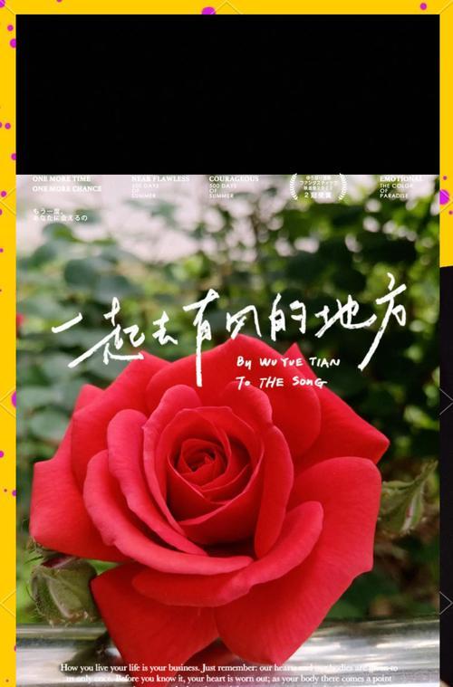 月季花的花语和象征意义是什么？