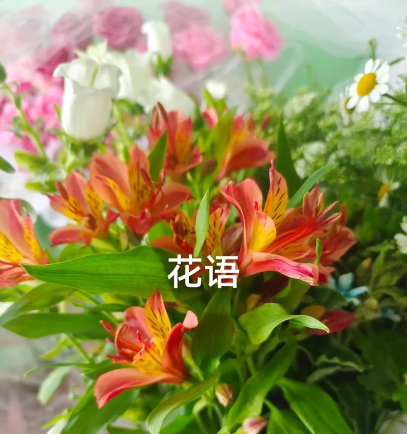 水仙花的花语含义是什么？它象征着什么情感？