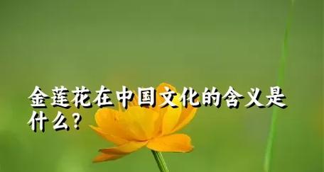 “花”字在不同文化中有哪些寓意？如何正确使用？