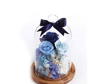 永生花的花语和象征意义是什么？