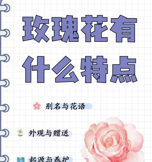 头戴玫瑰花代表了什么？头戴玫瑰花在传统中的象征意义是什么？