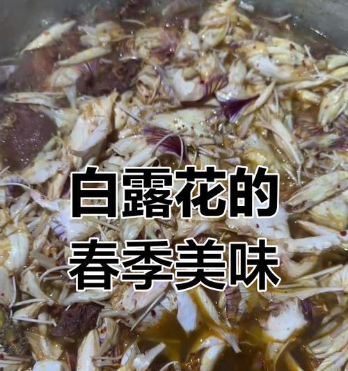 白露花的寓意含义是什么？白露花代表了什么？