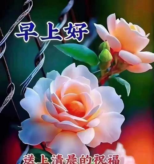送什么花寓意健康平安？有哪些花可以表达这个祝福？