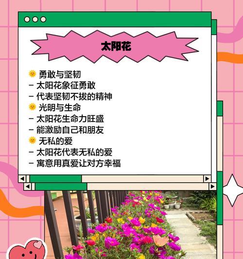 表达勇气的象征花有哪些？勇敢的象征花是什么？