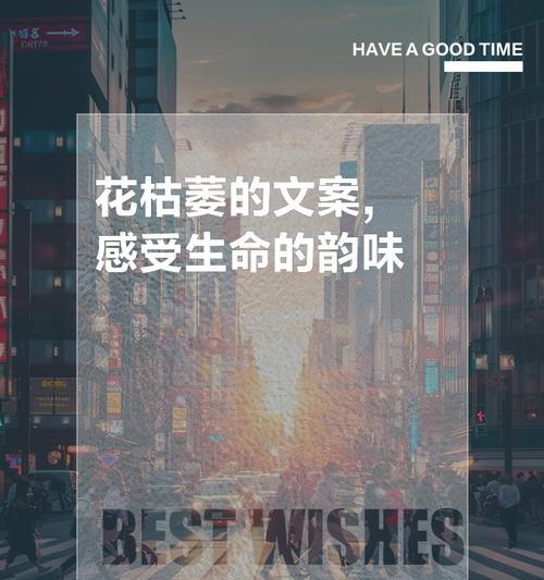 枯萎的花代表什么含义？如何解读其背后的信息？