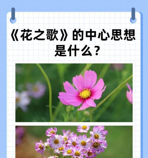 哪些花象征着婚姻？它们的花语是什么？