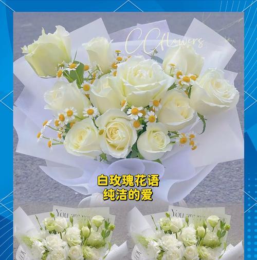 白玫瑰花象征纯洁还是友情？送白玫瑰的意义何在？