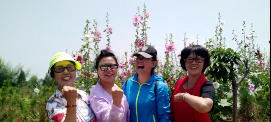 兰州花语小镇的特色活动和魅力是什么？