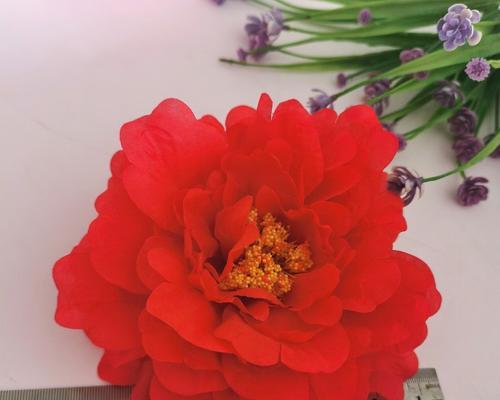 花杆红色代表什么？它有哪些象征意义？