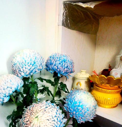 佛前供花的寓意是什么？它象征着什么？