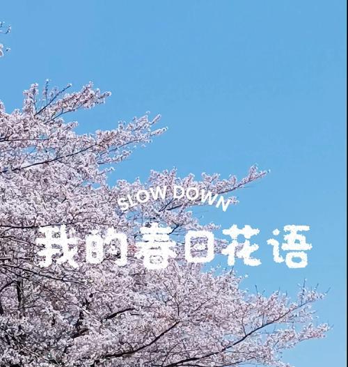 樱花的花语象征着什么？了解樱花的深层含义？