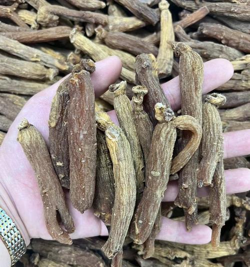 红参花象征意义何在？代表了哪些文化含义？