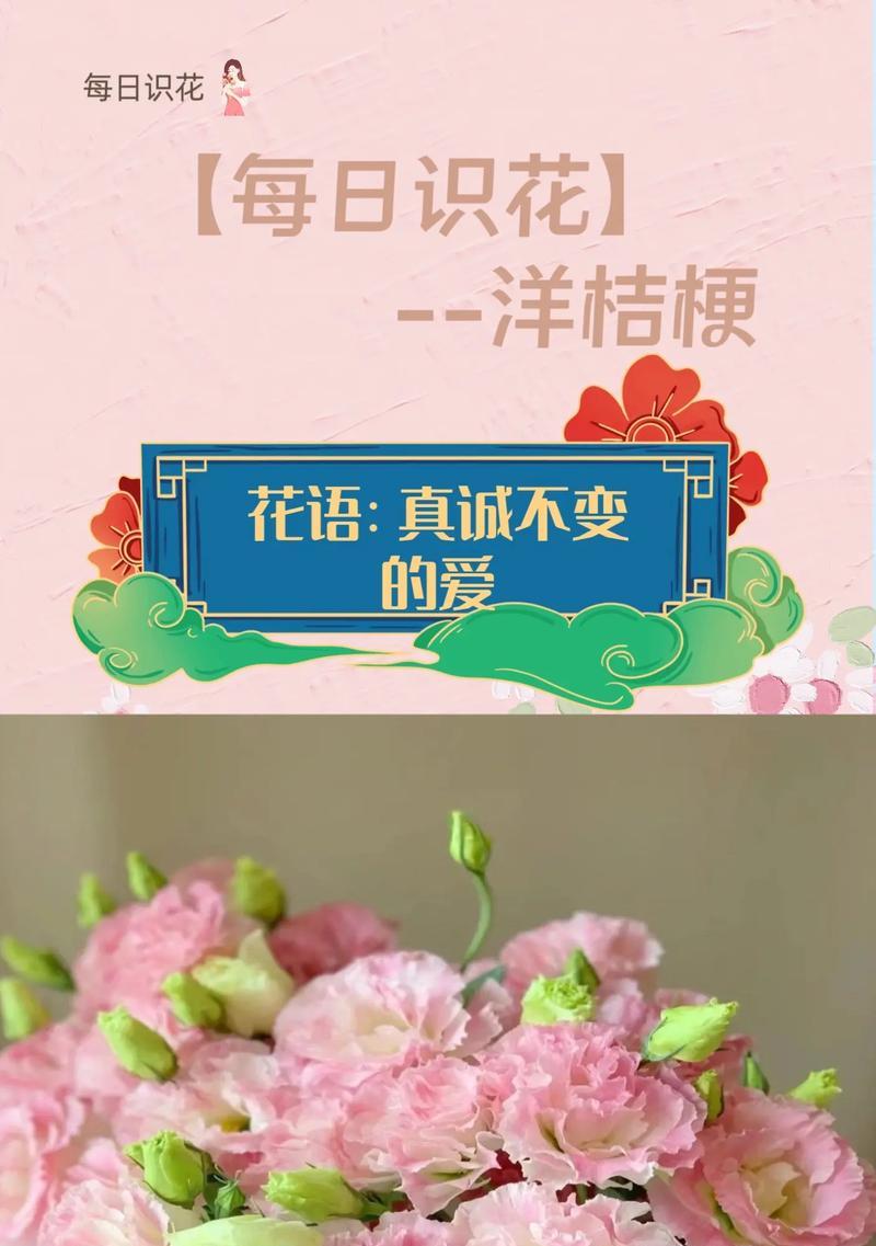 洋桔梗花语的意义与传承（探寻洋桔梗的花语及其文化价值）