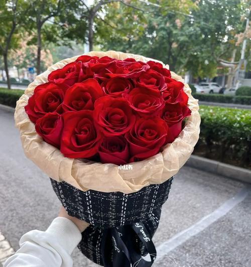 红色玫瑰花的19种代表意义（深入探索红色玫瑰花的不同寓意）