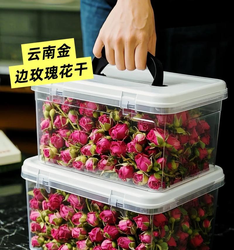 探寻云南小玫瑰的独特魅力（云南小玫瑰）