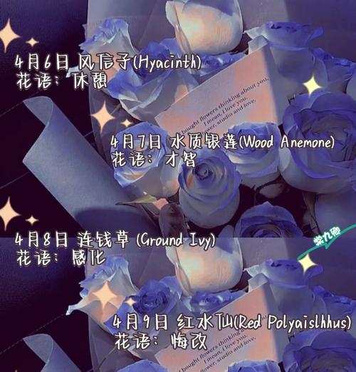 以黑玫瑰花语的准确意思（揭示黑玫瑰的真实内涵）