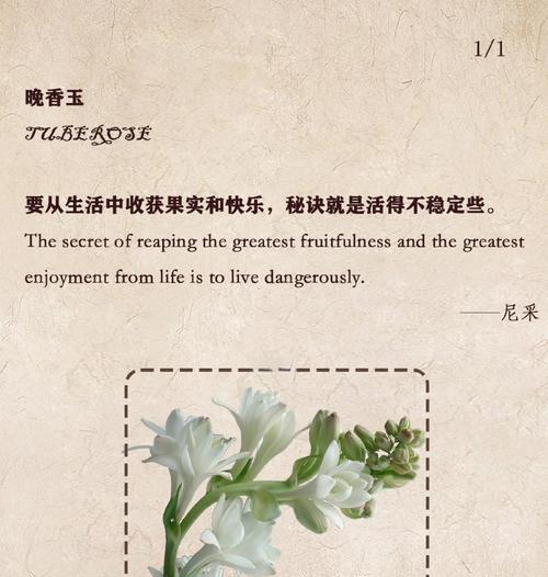晚香玉——花香传说的美丽故事（芬芳四溢，花开人间）