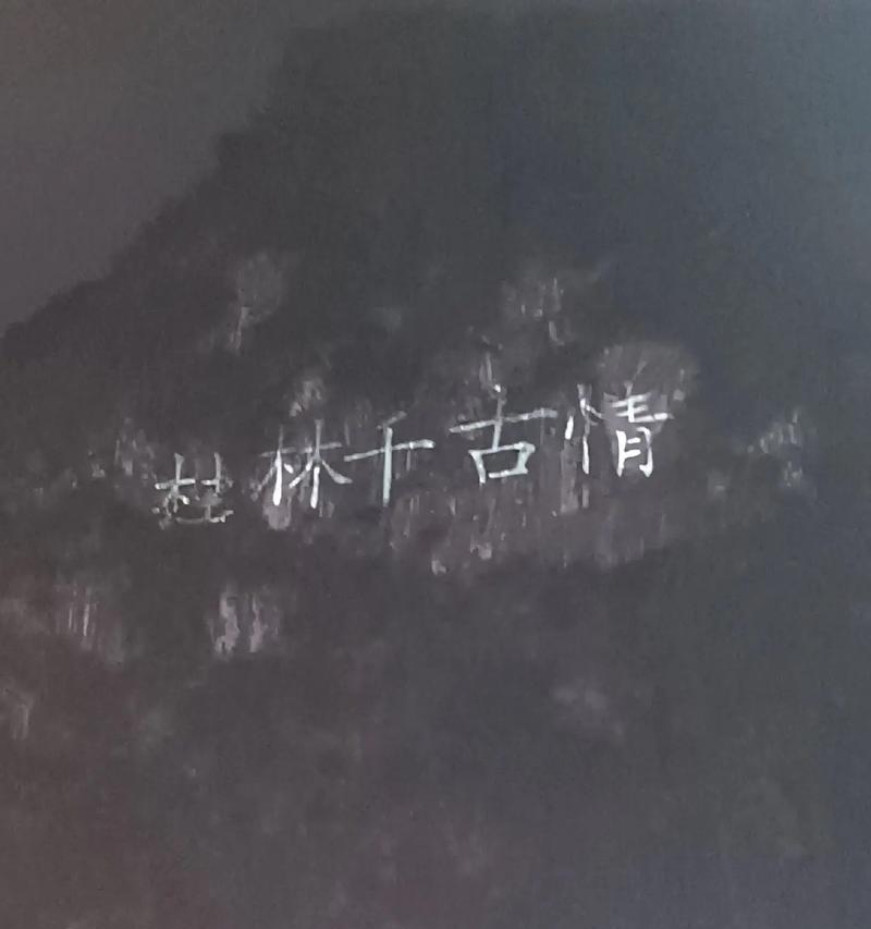樱花的花语与寓意（探寻樱花的文化与象征）