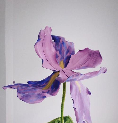 囚禁的花语（用花朵表达内心的困扰与解脱）