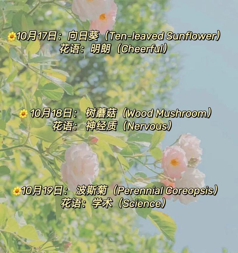 以蓝玫瑰花语传递神秘和渴望的情感（探索蓝玫瑰的花语和象征意义，了解其关键含义和用途）