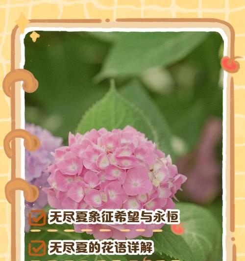 以蓝玫瑰花语传递神秘和渴望的情感（探索蓝玫瑰的花语和象征意义，了解其关键含义和用途）