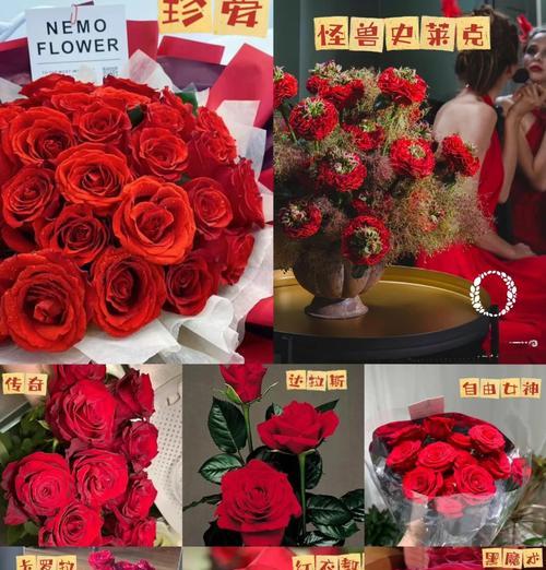13朵红玫瑰所代表的深意（表达爱情的关键——红玫瑰与13的秘密）