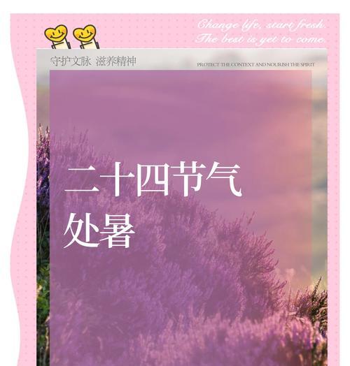 木槿花的象征意义与寓意（探索木槿花的美丽与深意）