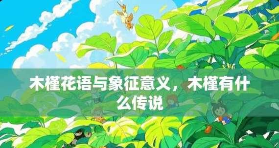 木槿花的象征意义与寓意（探索木槿花的美丽与深意）