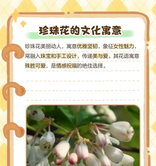 珍珠梅花（探寻珍珠梅花背后的象征意义）