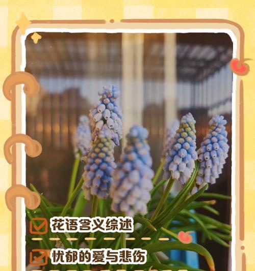 花语传情，粉风信子的浪漫告白（用花语传达爱意，粉风信子是最佳选择）