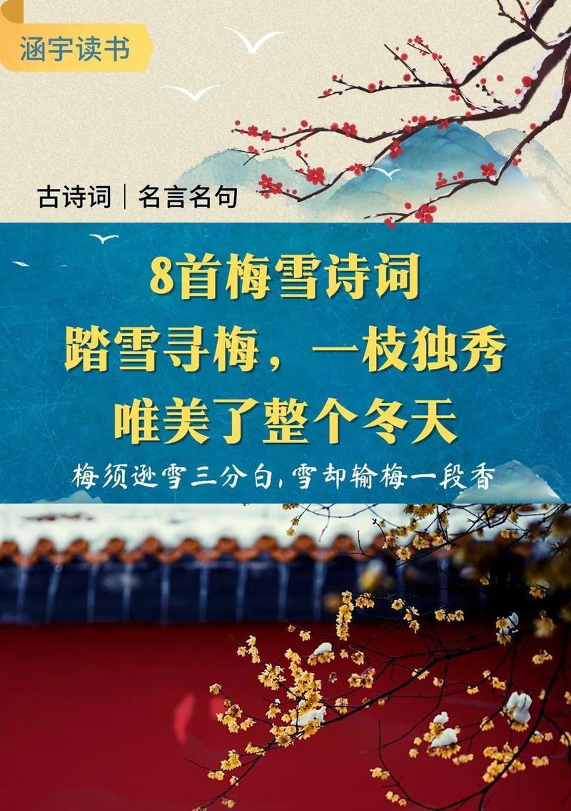 冬天梅花的特点与魅力（寒冷中的傲雪芬芳）