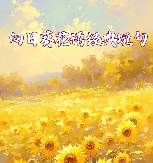 以太阳花的花语探秘——向阳的力量（以太阳花的花语意味着什么？解读阳光和温暖的象征）