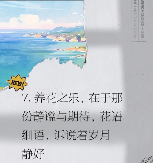 陪伴花语——以向日葵为主题的陪伴之花（阳光下的陪伴，向日葵中的情谊）