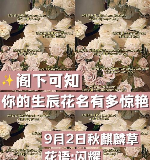 芦苇（芦苇代表的象征意义及其在人们心中的重要地位）