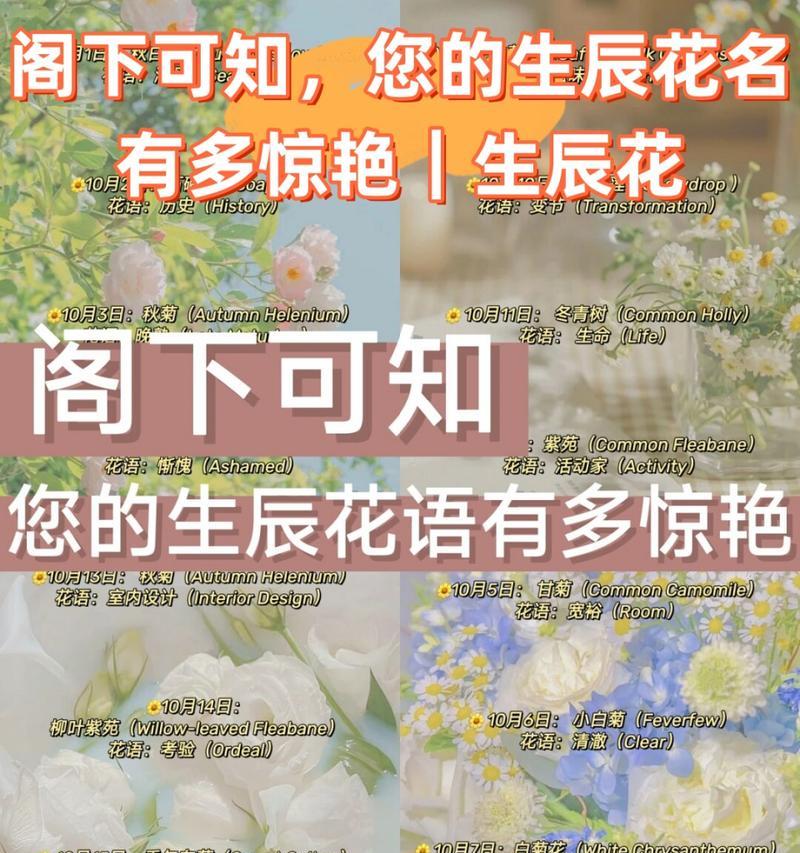 腊梅花语-寒冬中的花朵传情（解读腊梅花的含义与传达的情感）