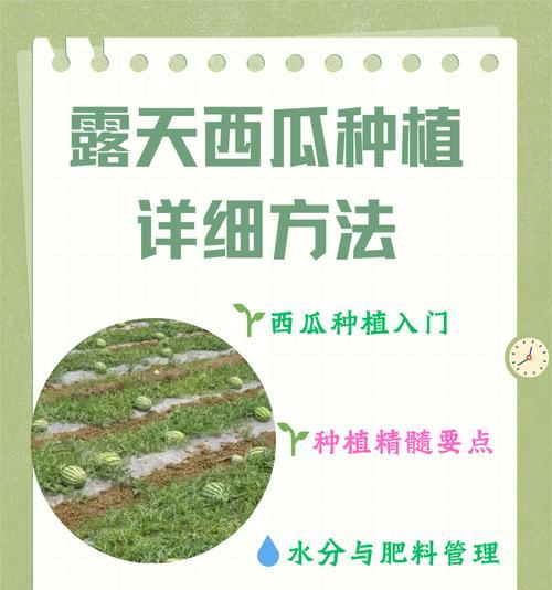 嫁接苗（探索嫁接苗的意义与应用）