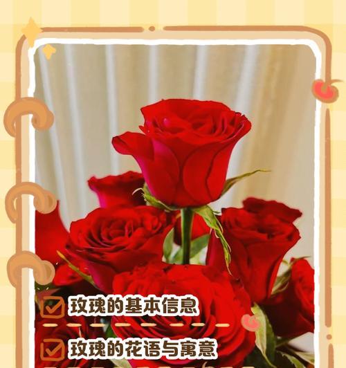玫瑰花（解读玫瑰花的花语和象征，感受爱的表达之美）