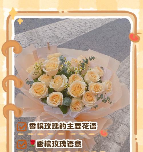 玫瑰花（解读玫瑰花的花语和象征，感受爱的表达之美）