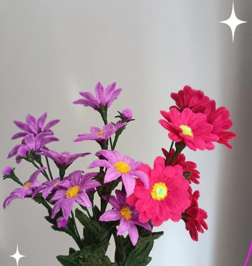 白色雏菊的花语与寓意（寓意深远的白色雏菊，代表纯洁与无暇）