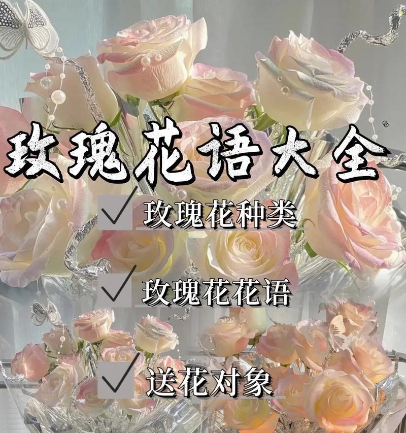 白玫瑰花语的神奇力量（探索白玫瑰的意义与象征）