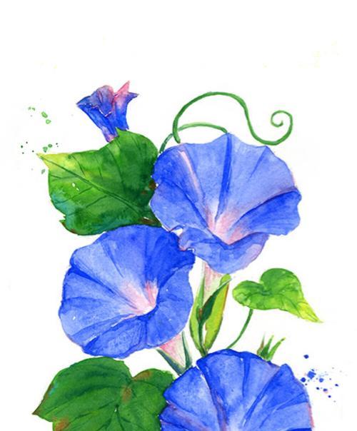 虚幻之花（神秘、浪漫、超现实，梦幻花语的魅力）